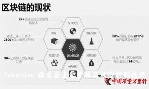 Tokenim 提交后资金管理及风险控制技巧