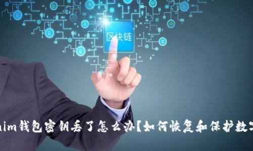 Tokenim钱包密钥丢了怎么办?如何恢复和保护数字资产