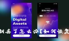 Tokenim钱包密钥丢了怎么办？如何恢复和保护数字