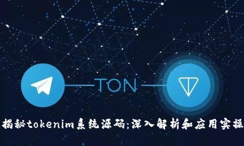 揭秘tokenim系统源码:深入解析和应用实操