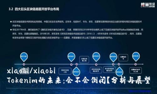 xiaobi/xiaobi
Tokenim的未来:会不会倒闭?分析与展望