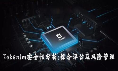 Tokenim安全性分析:综合评估及风险管理