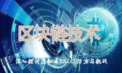 深入探讨虚拟币TBCC：潜力与挑战