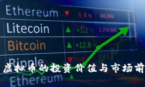 双子星虚拟币的投资价值与市场前景分析