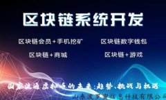 国家流通虚拟币的未来：趋势、挑战与机遇