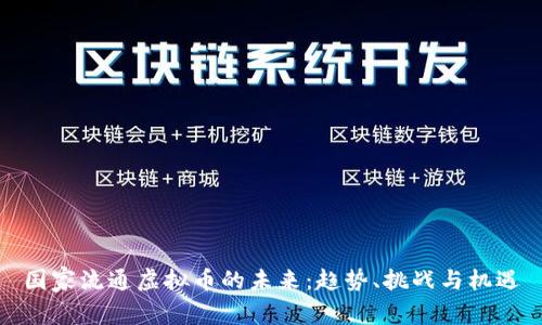 国家流通虚拟币的未来:趋势、挑战与机遇