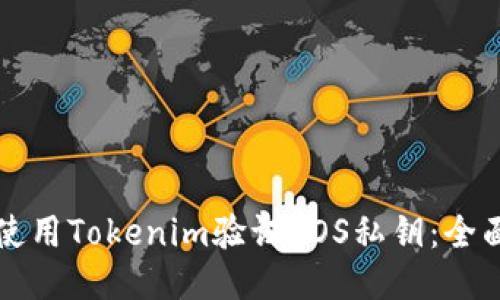 如何使用Tokenim验证EOS私钥:全面指南