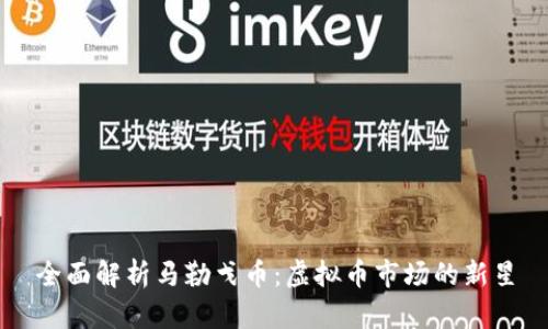 全面解析马勒戈币:虚拟币市场的新星