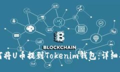如何将U币提到Tokenim钱包：详细指南