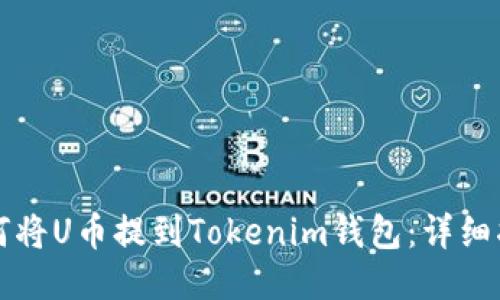 如何将U币提到Tokenim钱包:详细指南
