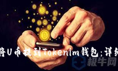 如何将U币提到Tokenim钱包:详细指南