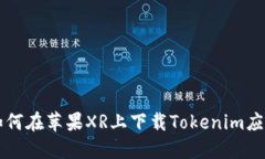 如何在苹果XR上下载Tokenim应用