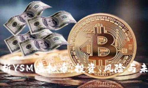 全面解析YSM虚拟币:投资、风险与未来展望