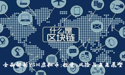 全面解析YSM虚拟币:投资、风险与未来展望