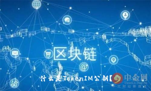 什么是TokenIM公钥?