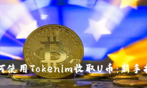 如何使用Tokenim收取U币:新手指南