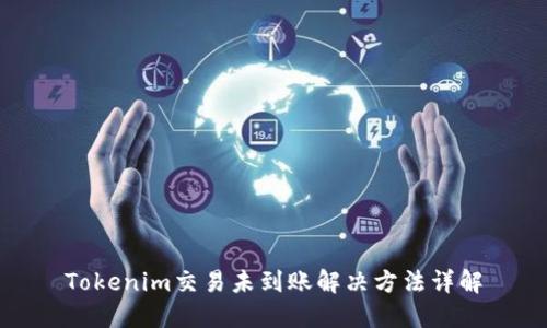 Tokenim交易未到账解决方法详解