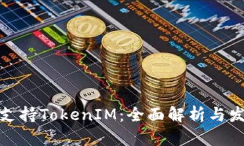: 苹果支持TokenIM:全面解析与发展前景