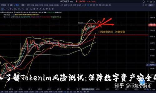: 深入了解Tokenim风险测试:保障数字资产安全的利器