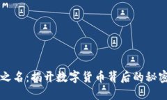 虚拟币之名：揭开数字货币背后的秘密与未来