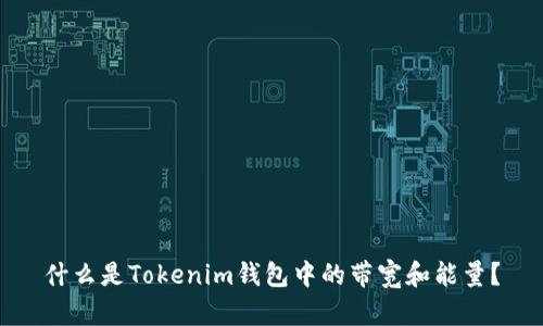 什么是Tokenim钱包中的带宽和能量?