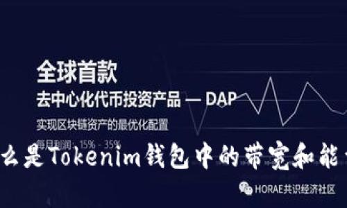什么是Tokenim钱包中的带宽和能量?