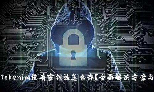如果Tokenim没有密钥该怎么办?全面解决方案与步骤