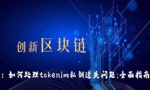 : 如何处理tokenim私钥遗失问题:全面指南