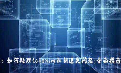 : 如何处理tokenim私钥遗失问题:全面指南