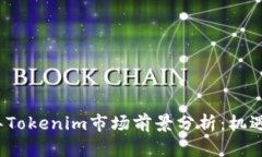 2030年Tokenim市场前景分析：机遇与挑战