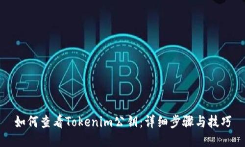 如何查看Tokenim公钥:详细步骤与技巧