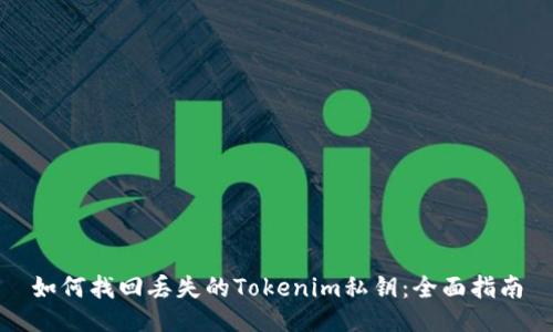 如何找回丢失的Tokenim私钥:全面指南