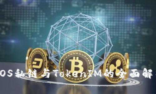 EOS私链与TokenIM的全面解析