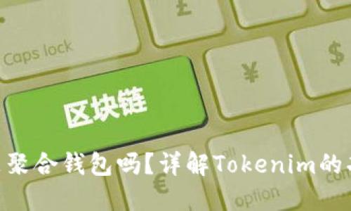 Tokenim是聚合钱包吗?详解Tokenim的功能与特点