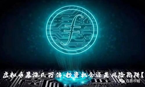 虚拟币暴涨几万倍:投资机会还是风险陷阱?