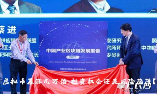虚拟币暴涨几万倍:投资机会还是风险陷阱?