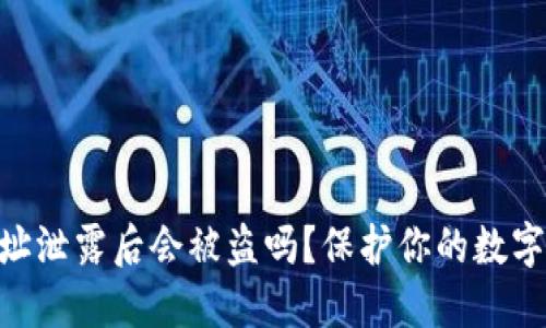 Tokenim钱包地址泄露后会被盗吗?保护你的数字资产安全的指南