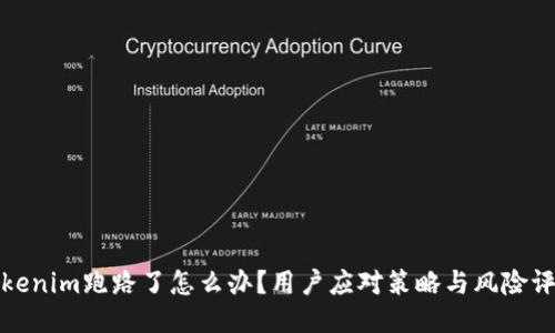 Tokenim跑路了怎么办?用户应对策略与风险评估