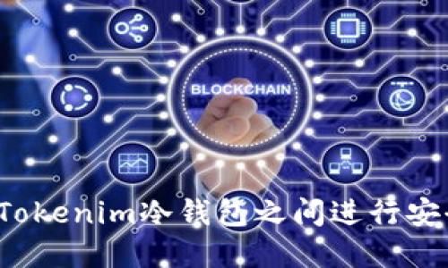 如何在Tokenim冷钱包之间进行安全转账?