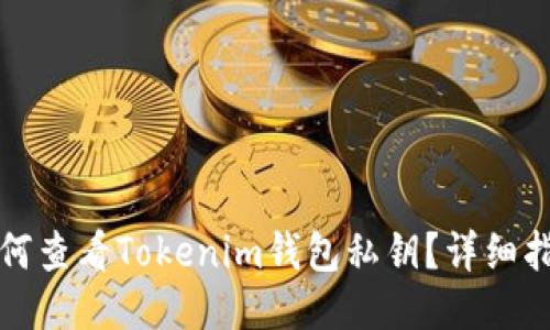 如何查看Tokenim钱包私钥?详细指南