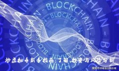 炒虚拟币新手指南：了解、投资与风险分析