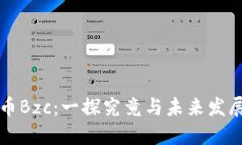 虚拟币Bzc:一探究竟与未来发展趋势