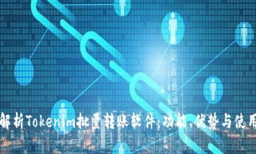 全面解析Tokenim批量转账软件：功能、优势与使用指南