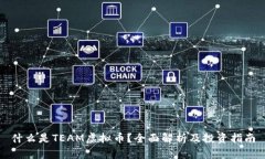 什么是TEAM虚拟币？全面解析及投资指南