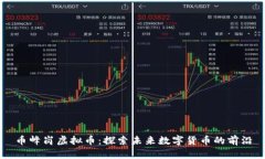 币峰岗虚拟币：探索未来数字货币的前沿