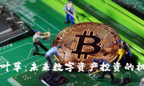 虚拟币四叶草：未来数字资产投资的机遇与挑战
