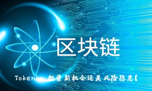 Tokenim:投资新机会还是风险隐患?