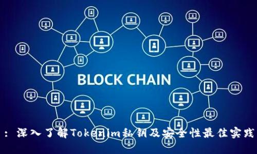 : 深入了解Tokenim私钥及安全性最佳实践