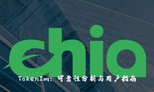 TokenIm: 可靠性分析与用户指南
