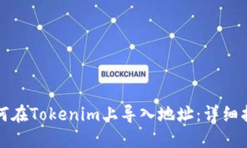 如何在Tokenim上导入地址:详细指导